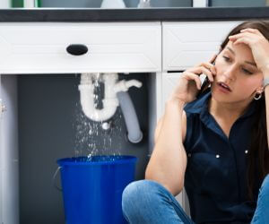 About Emergency plumbing pros Dahlen, ND